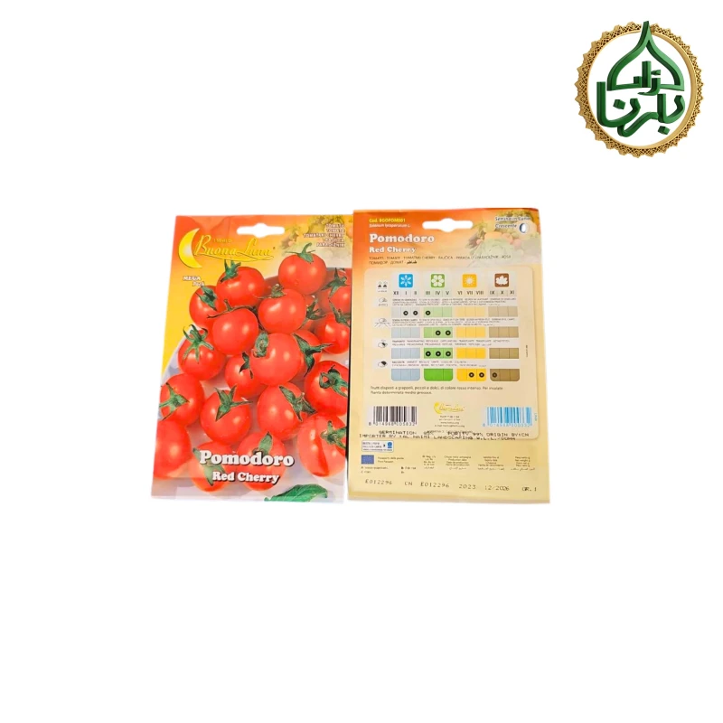 Cherry Tomato Seed