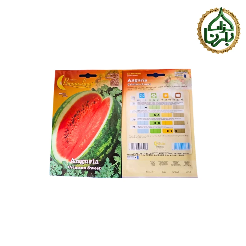 Watermelon Seed