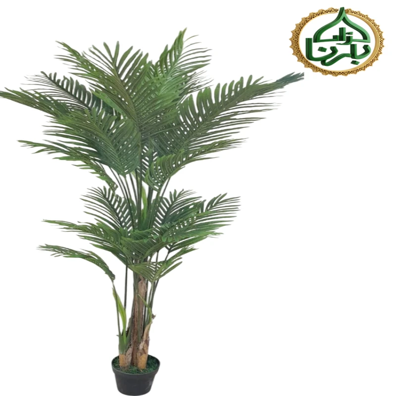 Areca Palm 190 Cm
