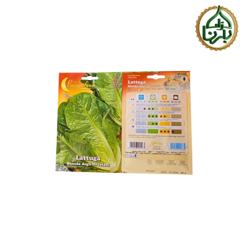 Lettuce Seeds