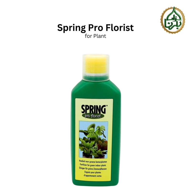 Spring Pro Florist Liquid Best For Green Plants 500ML